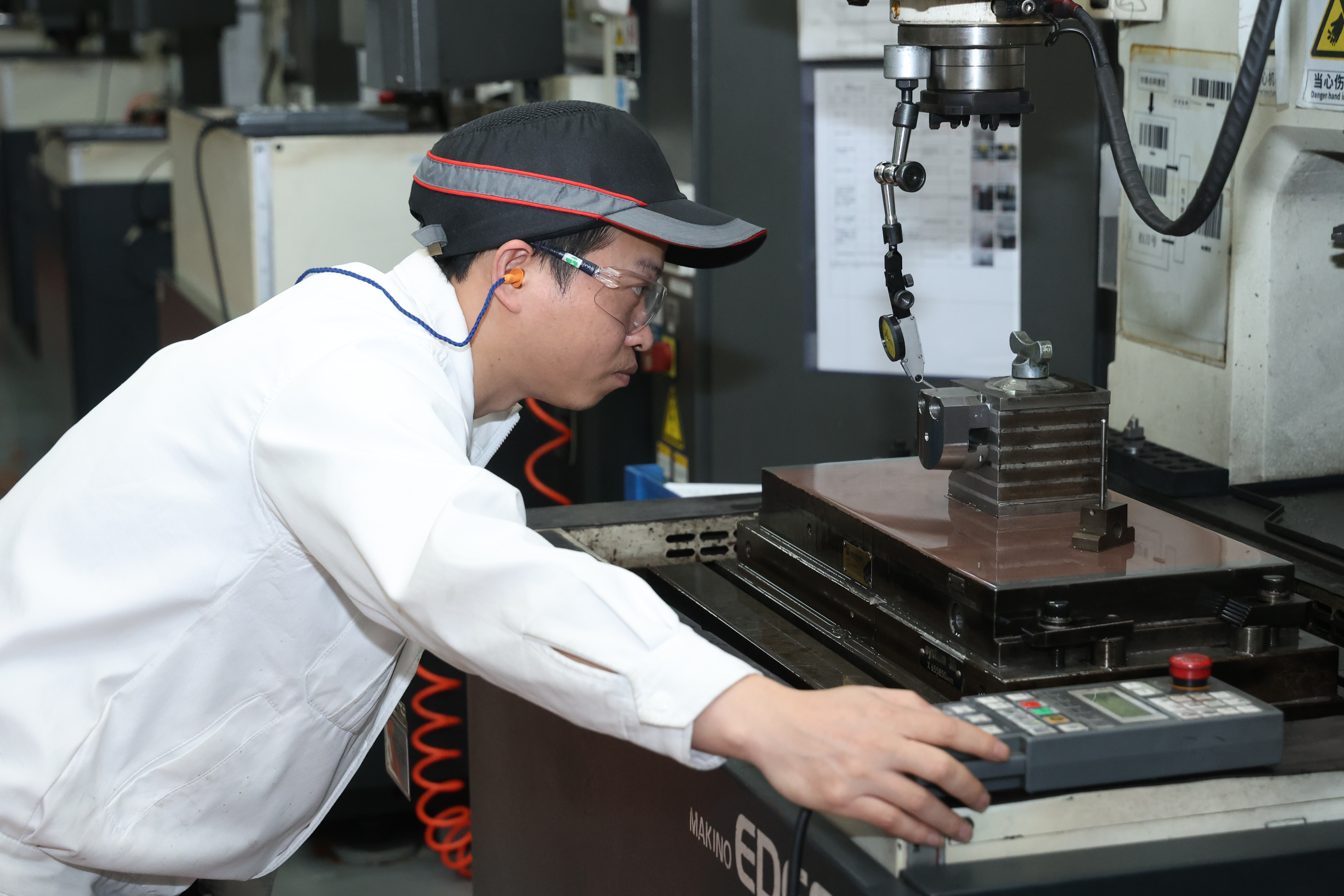 곰팡이 프로세스